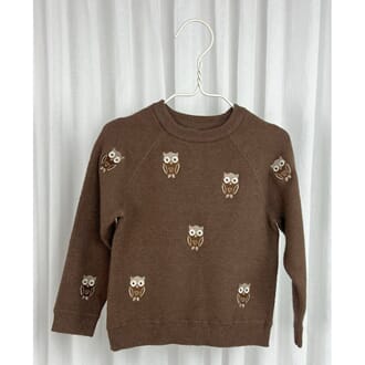 Alon Owl Pullover carafe - Fliink